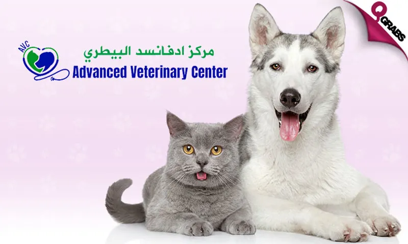 Pet Grooming for Dogs & Cats at Advanced Veterinary Center!